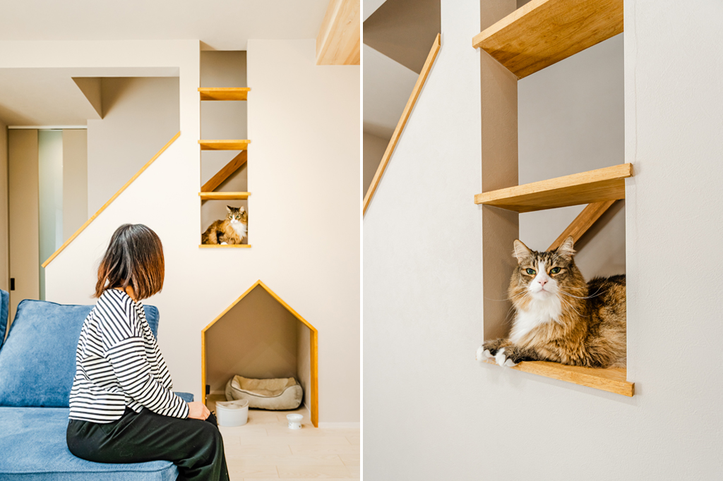 階段横の開口部から顔を出す愛猫