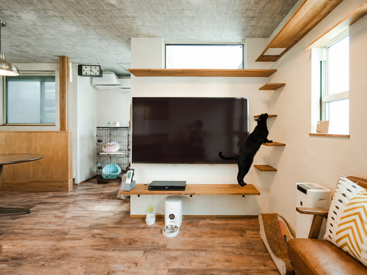 キャットウォークを登る愛猫